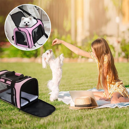 sac de transport chien ete