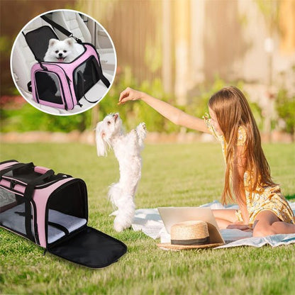sac de transport chien ete
