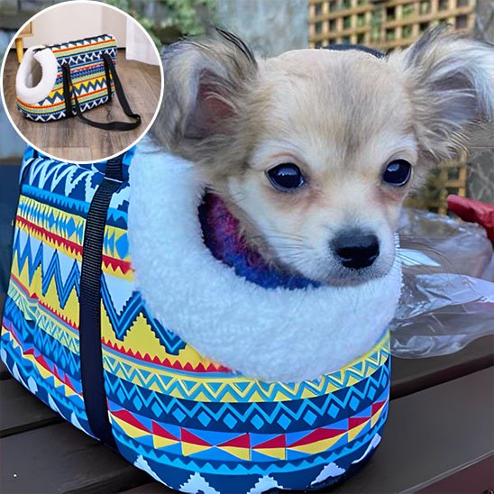 sac de transport chien rayure securite