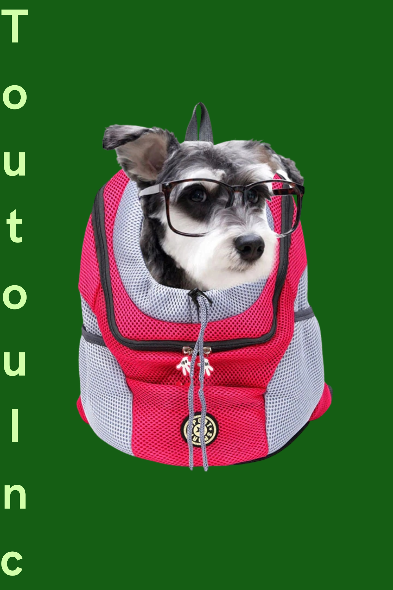 sac de transport chien rose rouge
