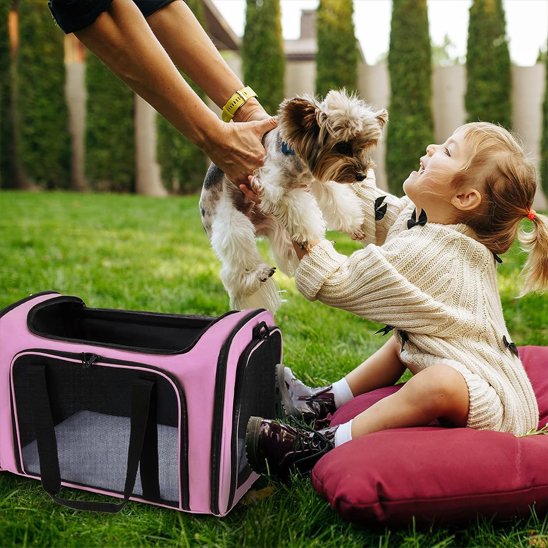 sac de transport chien rose-securite