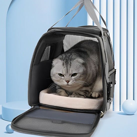 Sac de transport noir pour chat