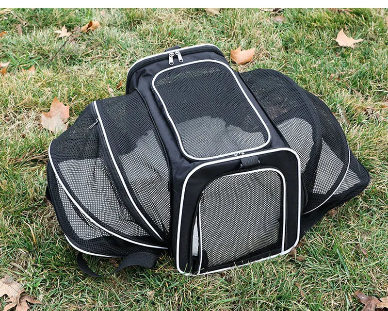 sac de transport pour chat blanc