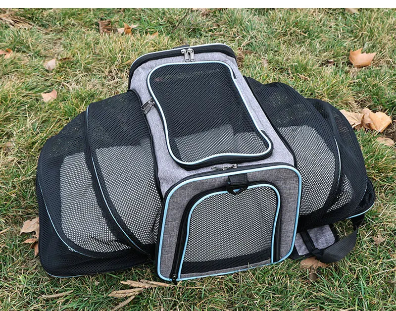 sac de transport pour chat bleu