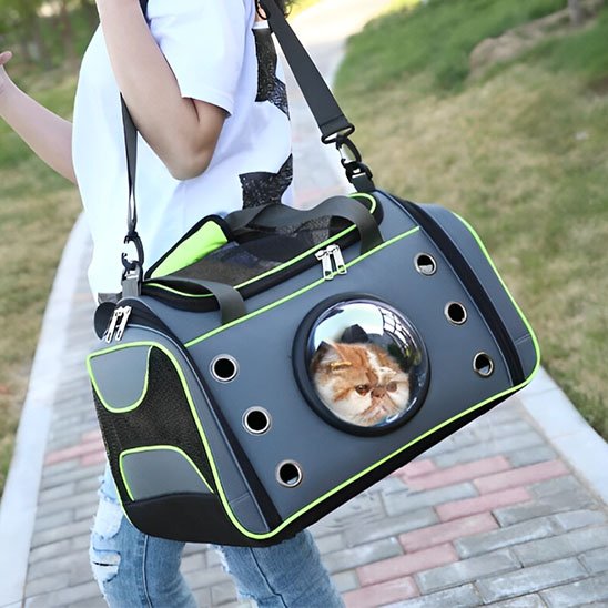 sac de transport pour chat vert comfort