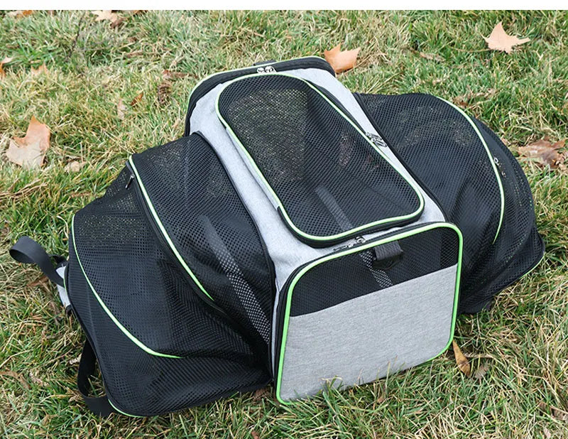 sac de transport pour chat vert