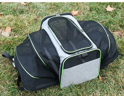 sac de transport pour chat vert
