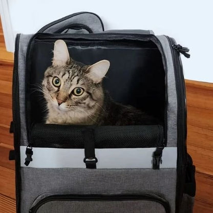Sac de transport pour chat voyage