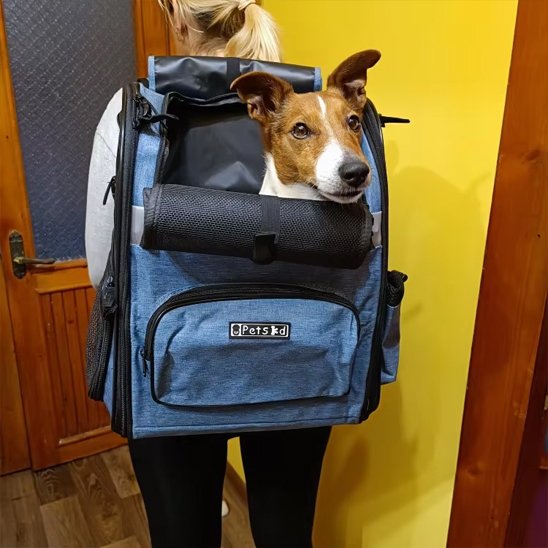 Sac de transport pour chien bleu