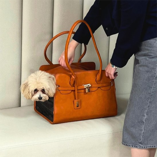 Sac de transport pour chien brun