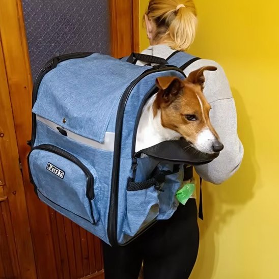 Sac de transport pour chien comfort
