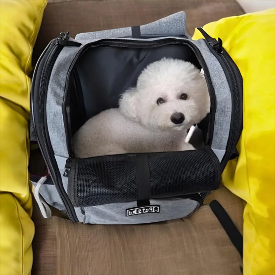 Sac de transport pour chien gris