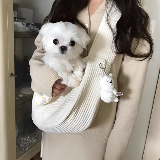 Sac de transport pour chien promener
