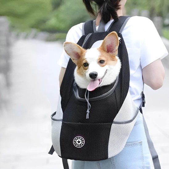 Sac à dos pour chien respirant