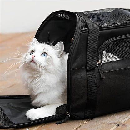 Sac noir de transport pour chat