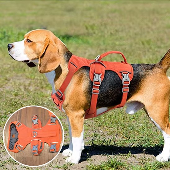securite Harnais pour chien