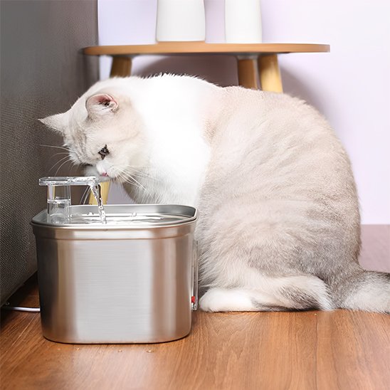silver Silencieuse Filtrante Fontaine a eau chat