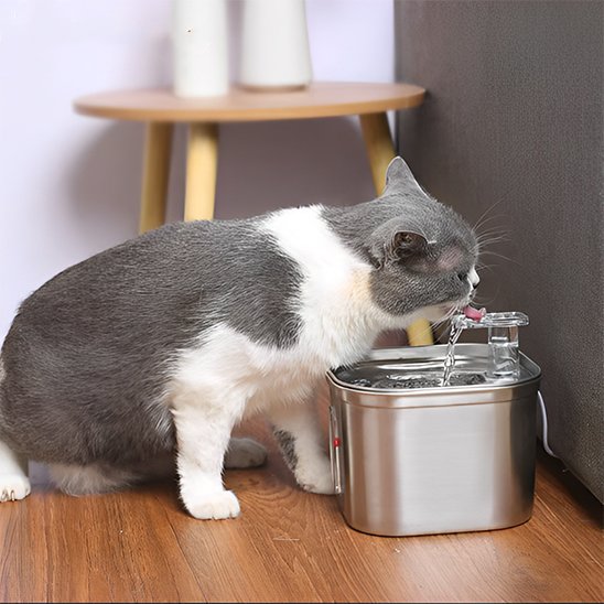 silver Fontaine a eau chat Silencieuse Filtrante