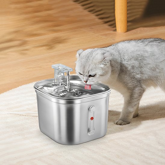 silver Fontaine a eau chat
