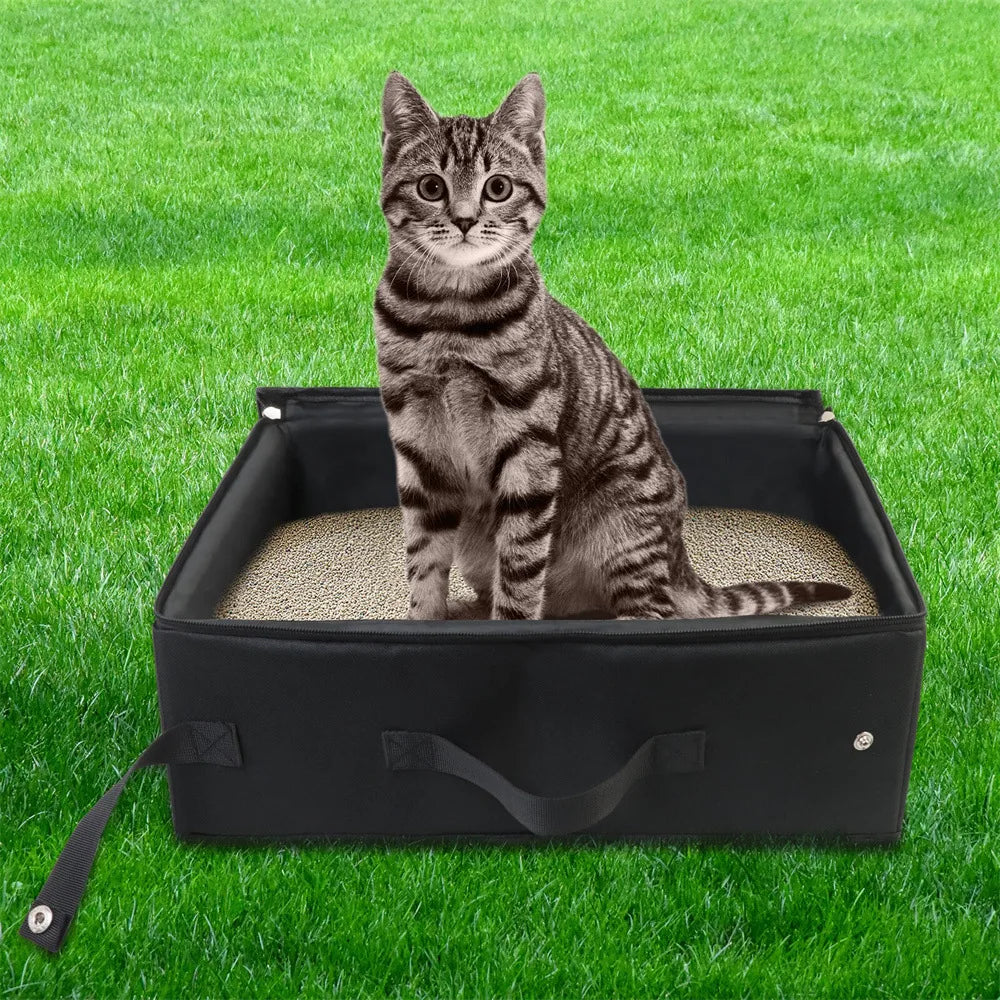 terrain bac a litiere chat