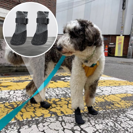 toutes saison Chaussures chien noir