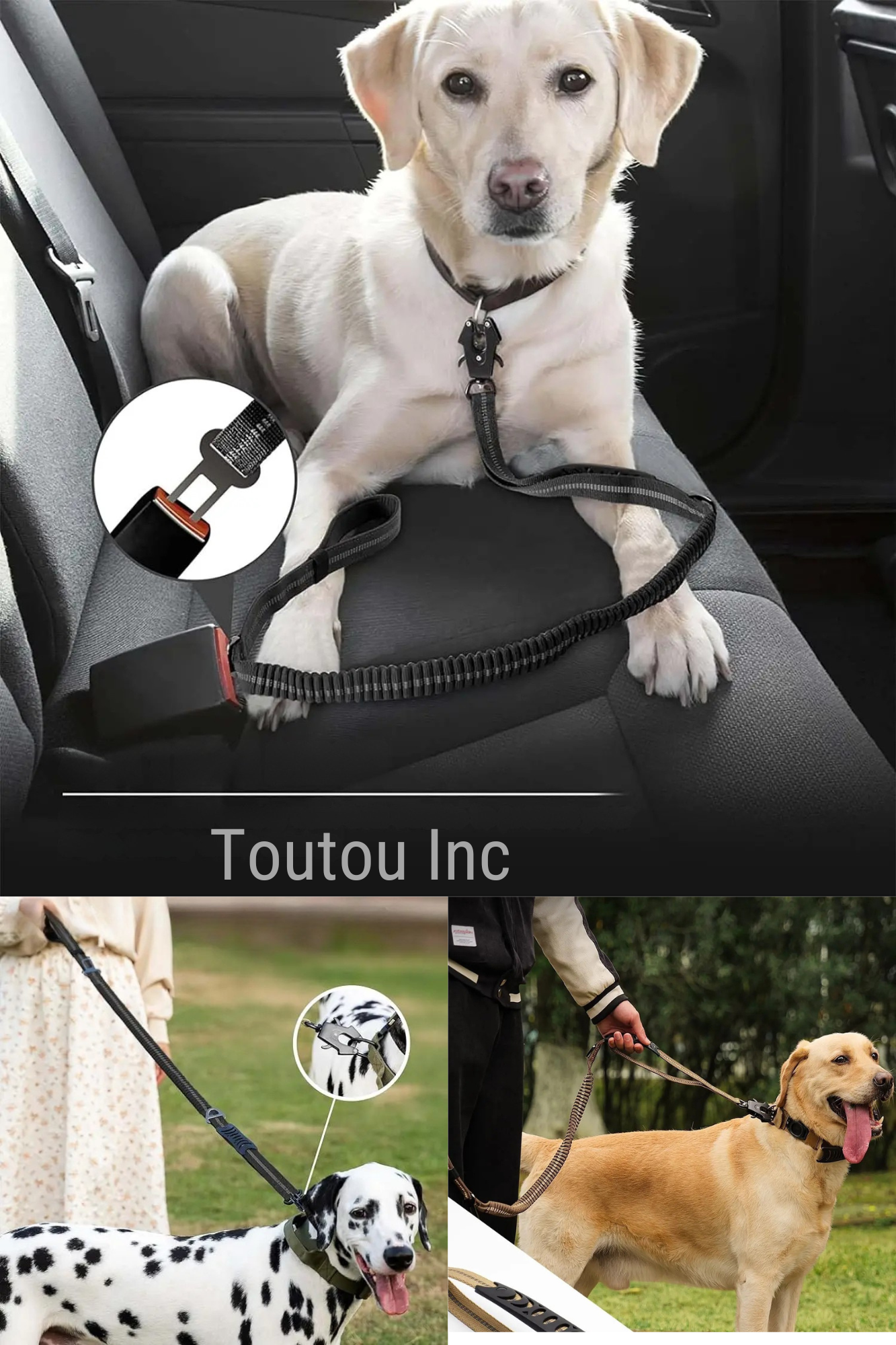 toutouinc longe pour chien