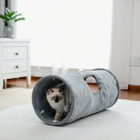tunnel chat gris