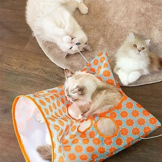 tunnel-chat