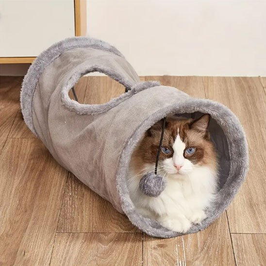 tunnel a chat