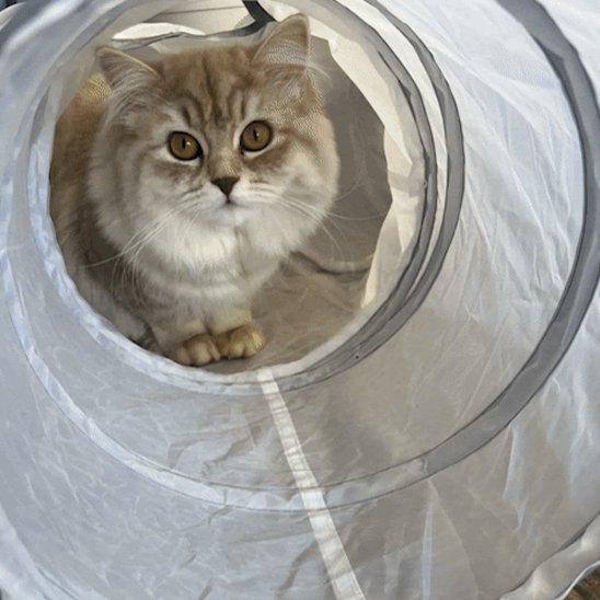 tunnel a deux forme