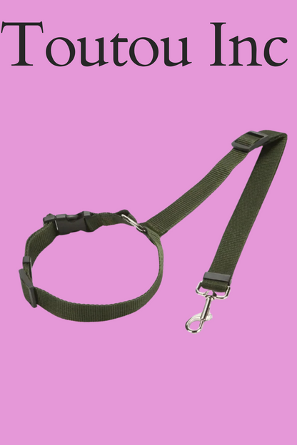vert arme transport chien voiture