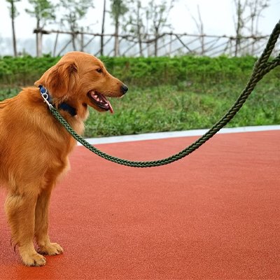 vert armee Laisse pour Chien