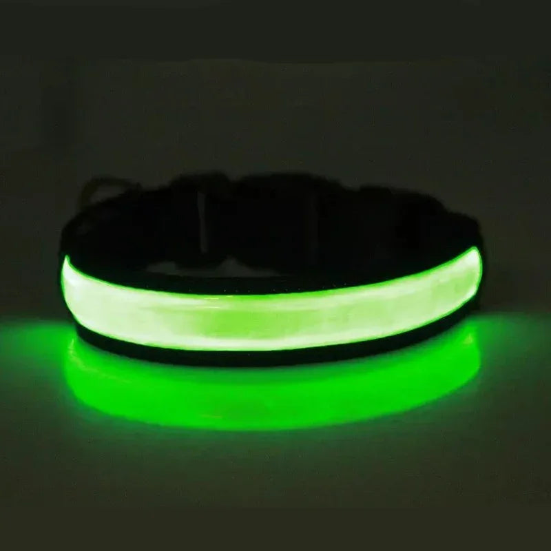 vert collier lumineux
