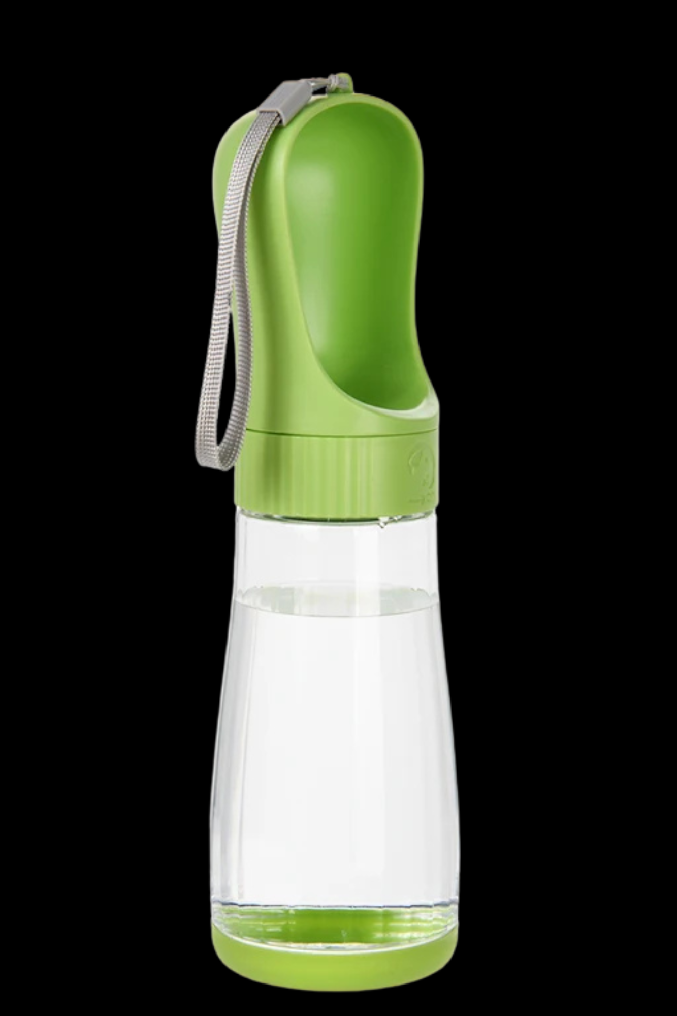 vert gourde chien 