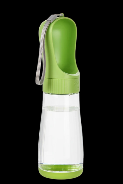 vert gourde chien 