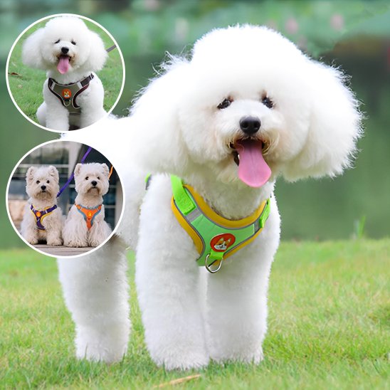  vert Harnais pour chien