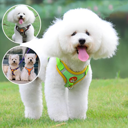  vert Harnais pour chien