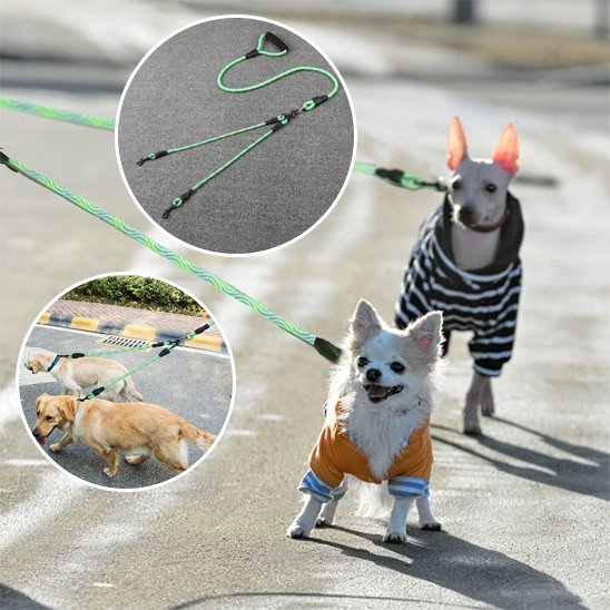 vert Laisse double pour chien