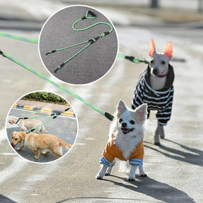 vert Laisse double pour chien
