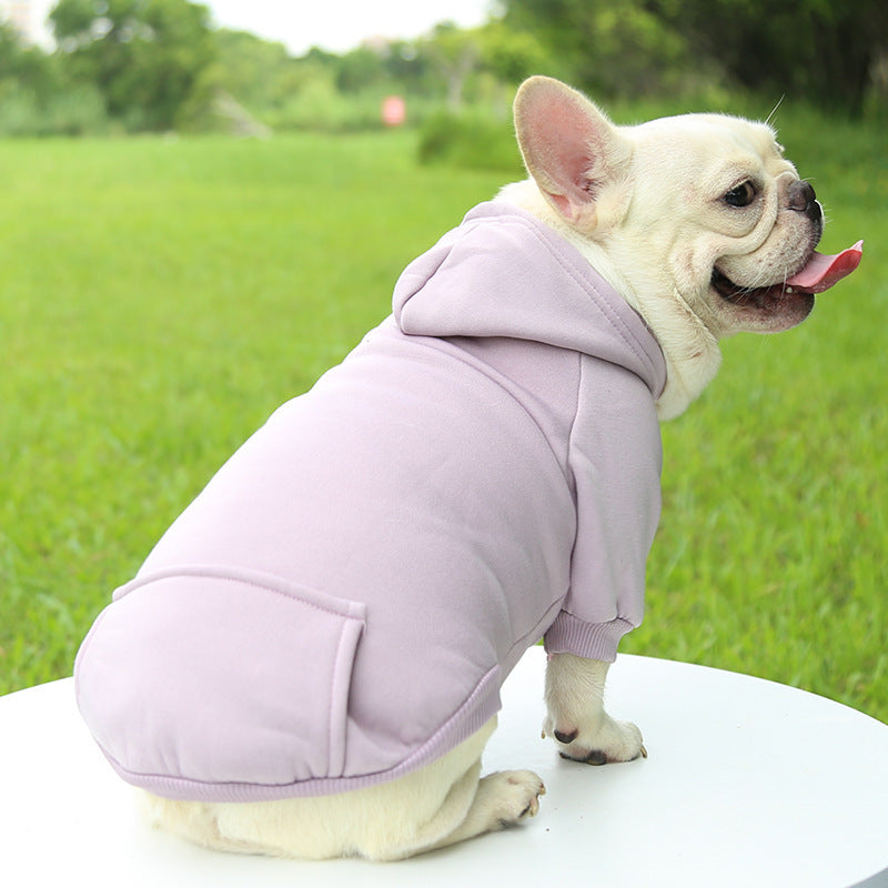 vetement pour chien blanc