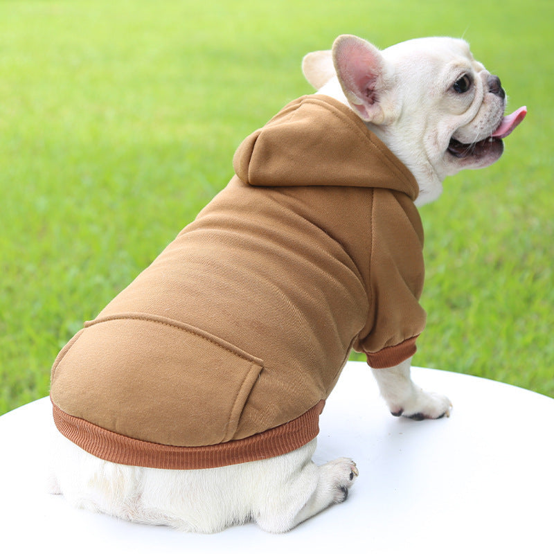 vetement pour chien cafe