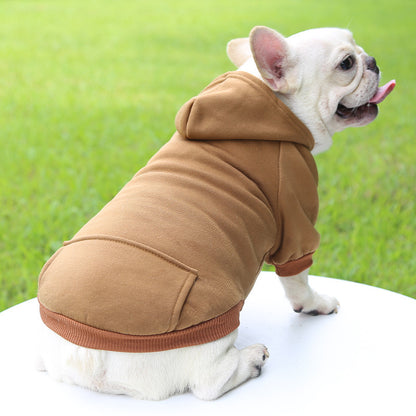 vetement pour chien cafe