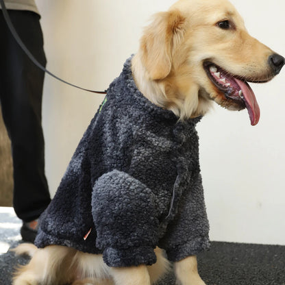 vetement pour chien ensoleiller