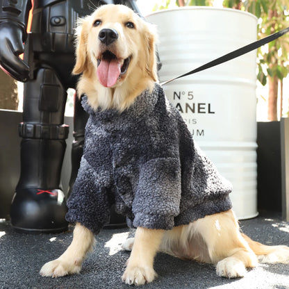 vetement pour chien noir