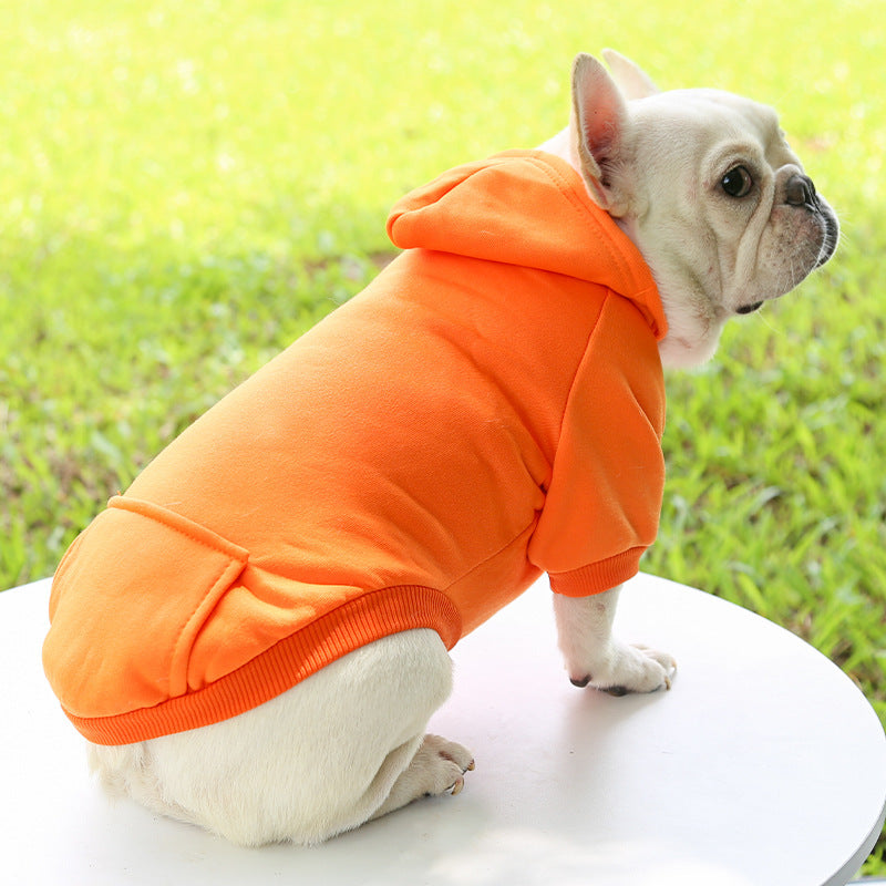 vetement pour chien orange