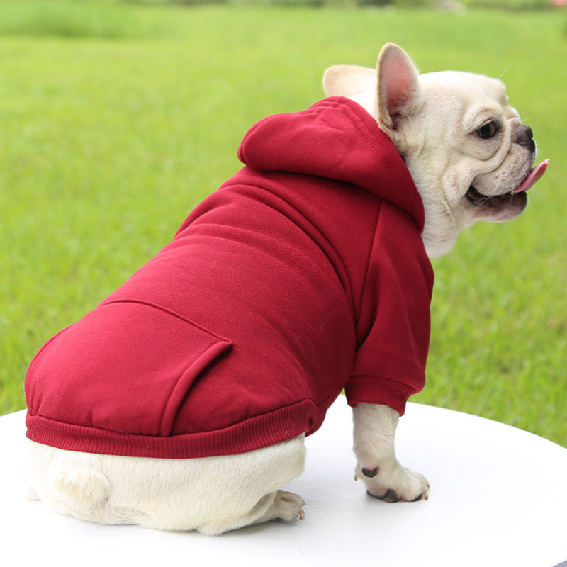 vetement pour chien rouge vin