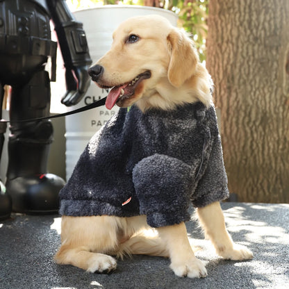 vetement pour chien sortie