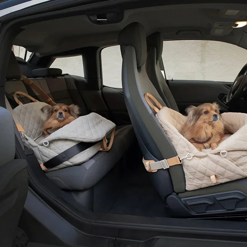 voiture chien arriere avant