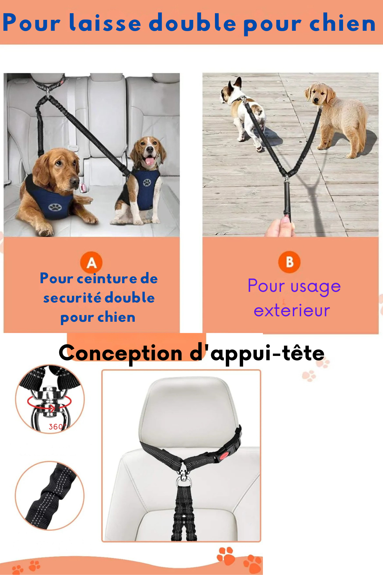 voiture conception transport chien 